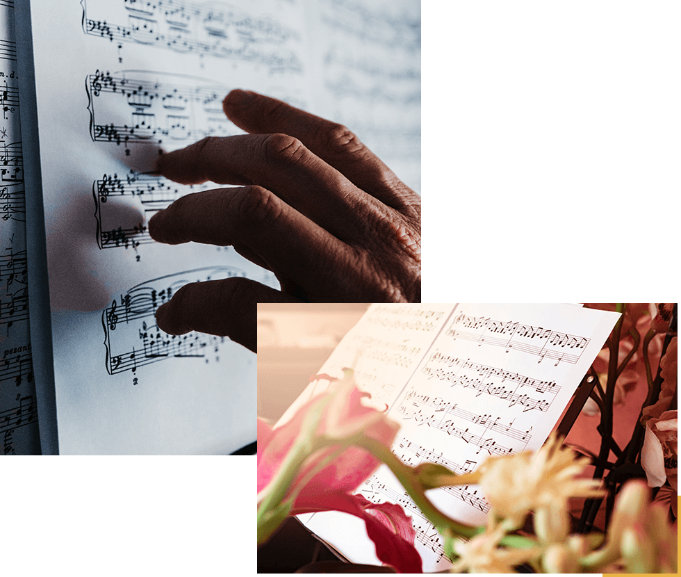 Notes on a Musical Score Spotted by Finger & Roses on an Music Score