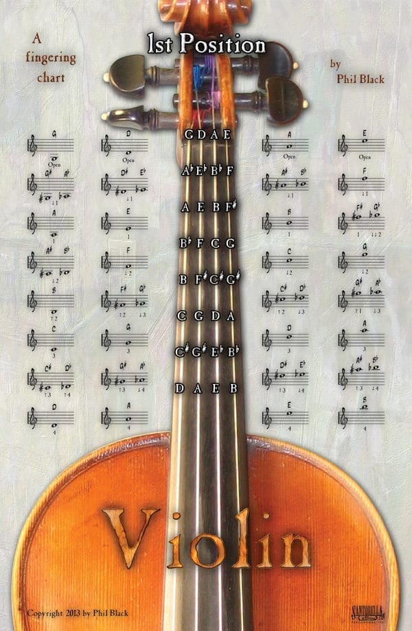 A violin with many strings on it