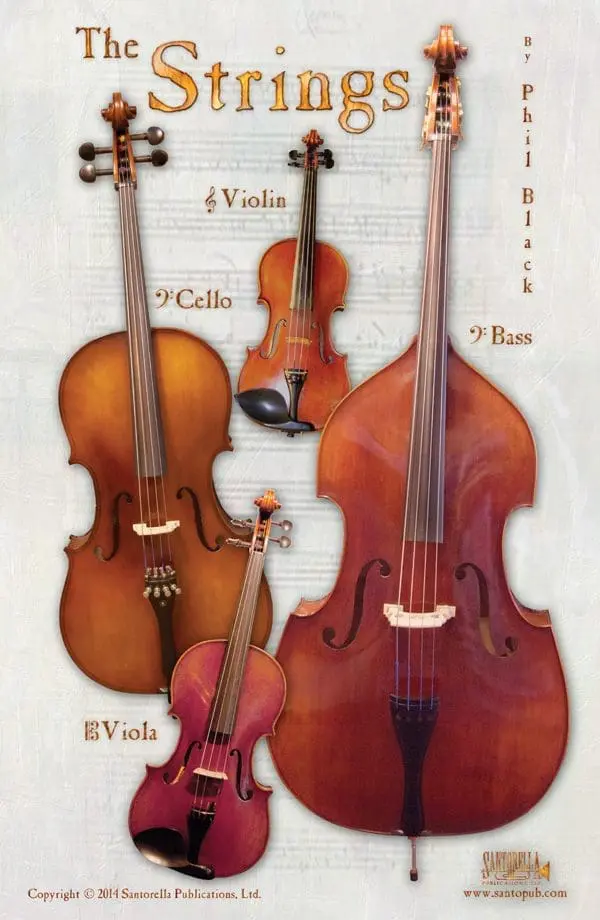 A poster of four different types of stringed instruments.