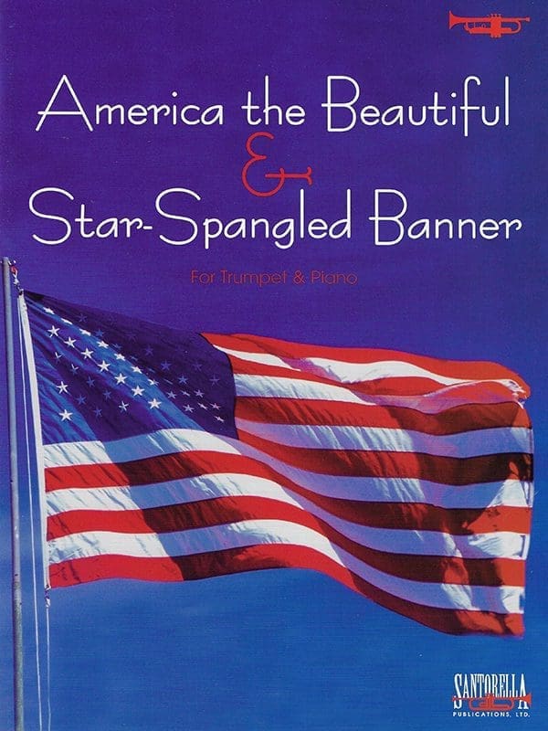 A book cover with an american flag on it.