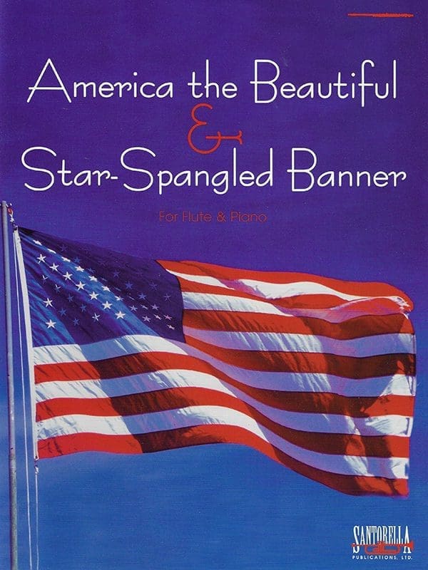 A patriotic book cover with an american flag.