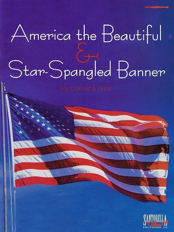 A book cover with an american flag on it.