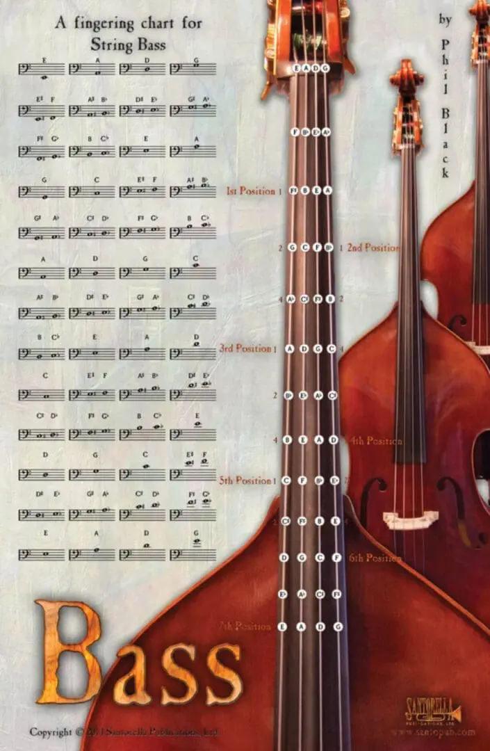 A poster of two different types of musical instruments.